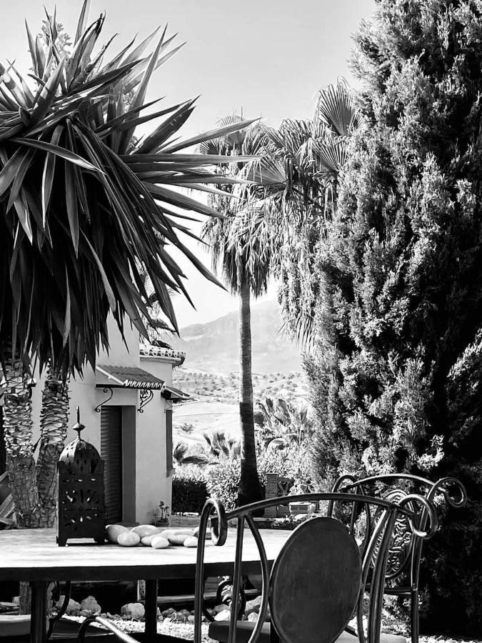 Premium Bed & Breakfast Casa Alegria Andaluza Los Romanes Eksteriør bilde